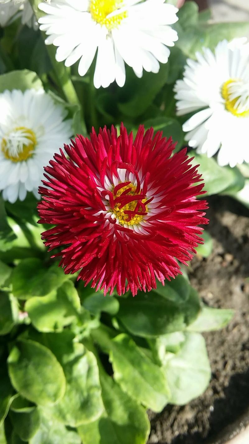 How beautiful is this? Rate it.