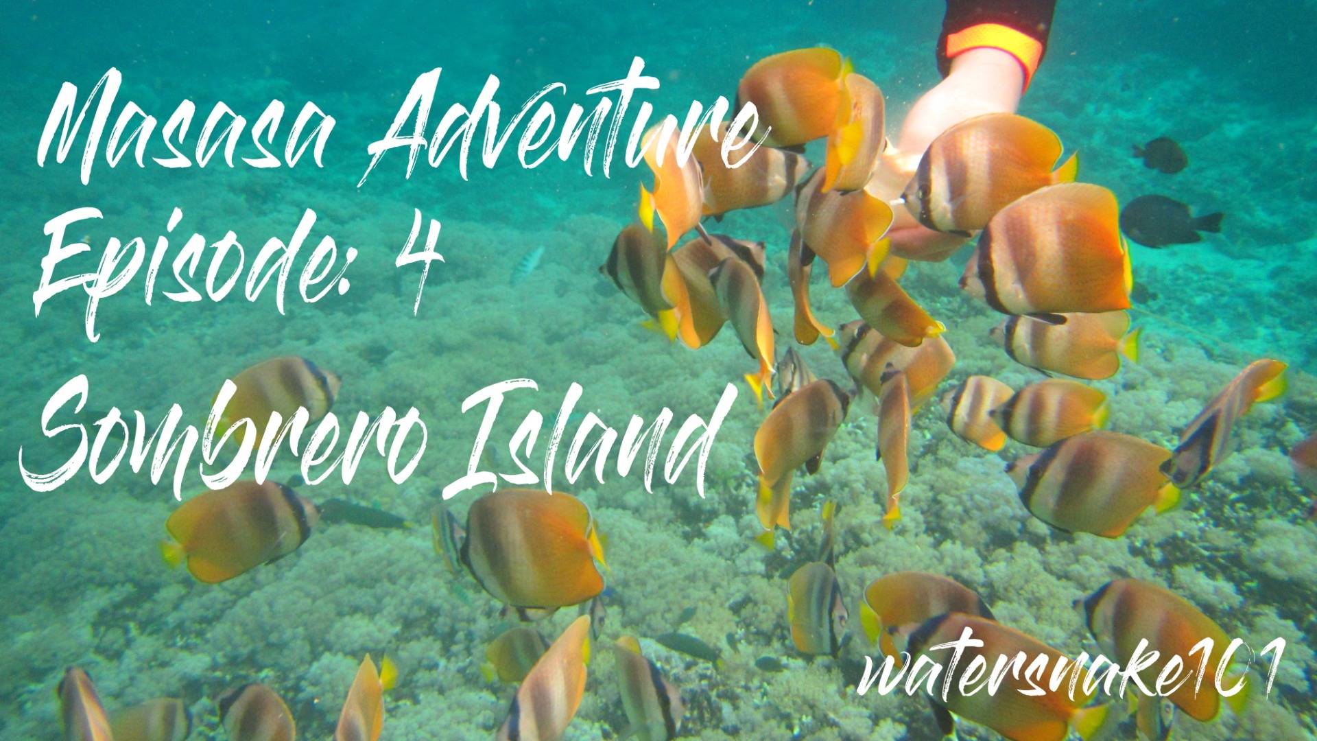 Masasa Adventure Episode: 4 "Sombrero Island"