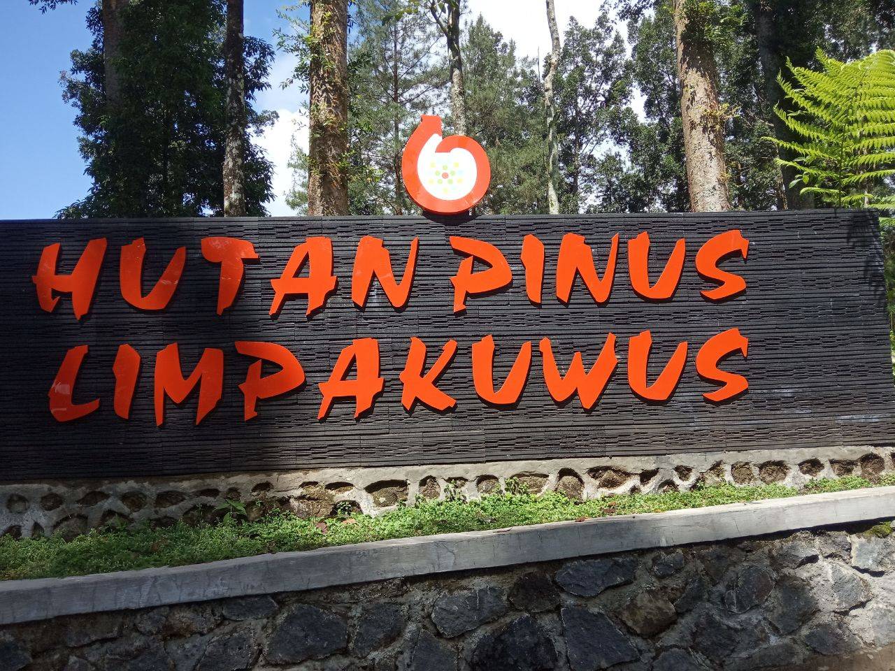 Exclusive Moment at Limpak Kuwus Pine Forest