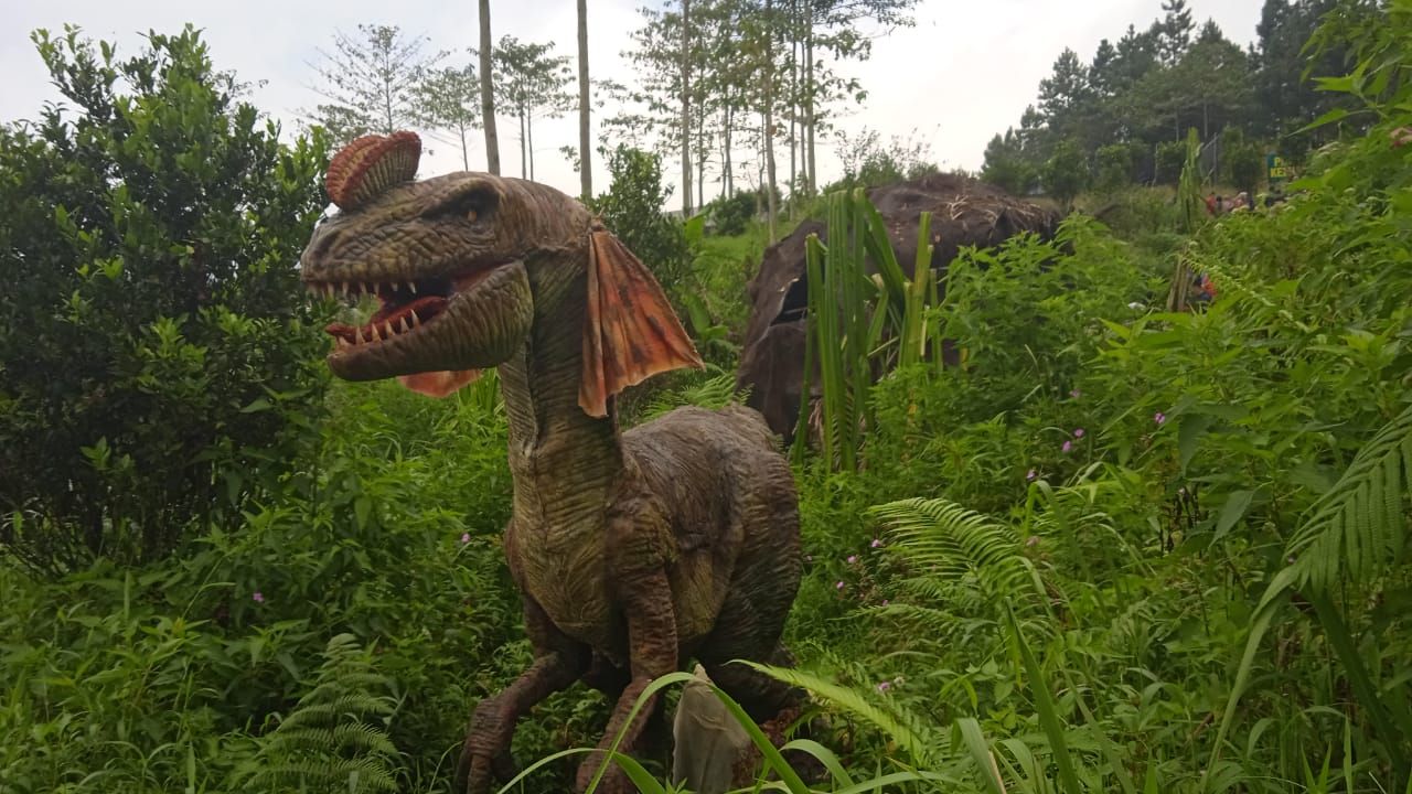 dino2.jpg