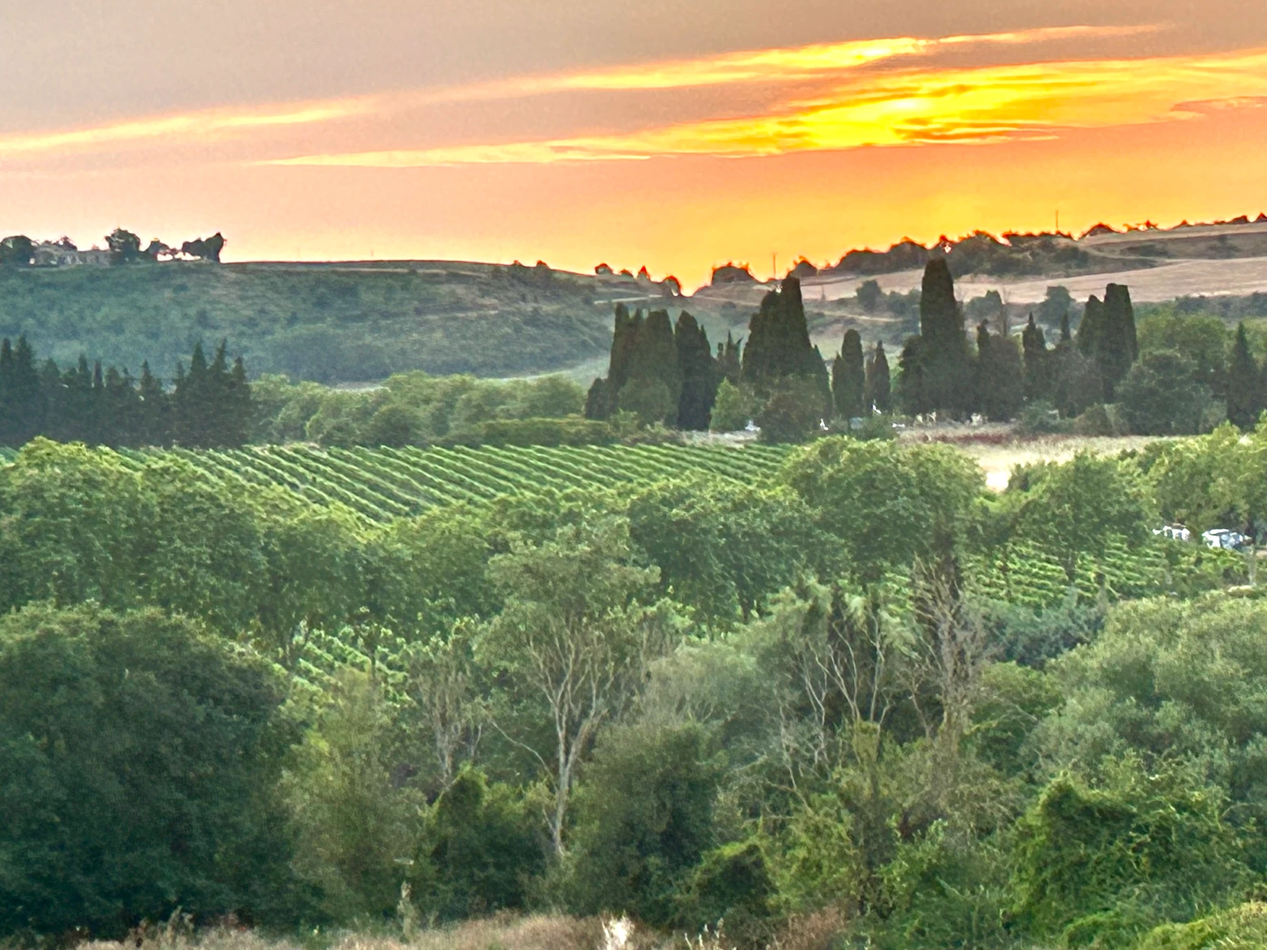 Everything looks beautiful with rosé-colored glasses, but here there is no augmentation needed