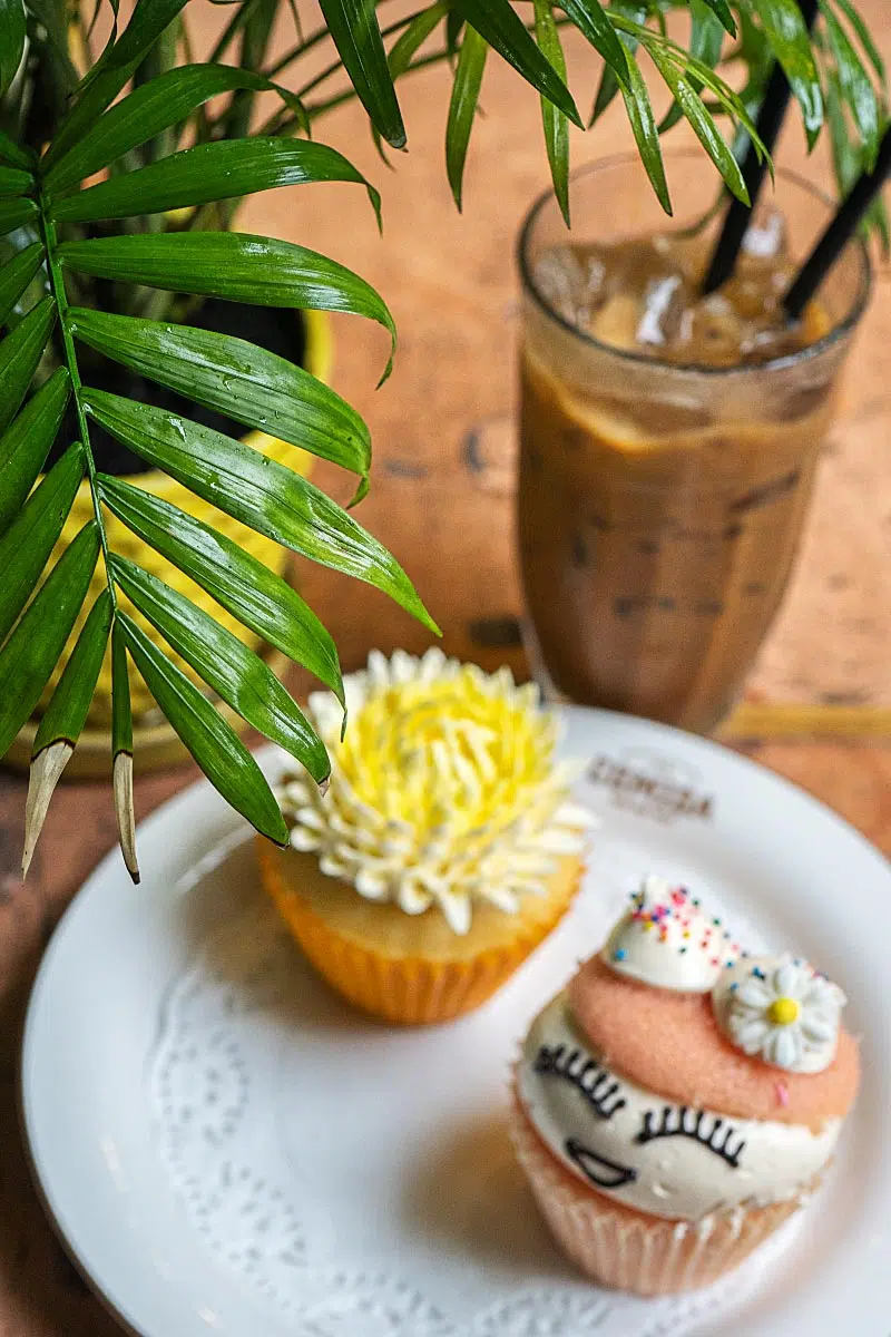 Is this café about the food, coffee, plants, or all of the above?