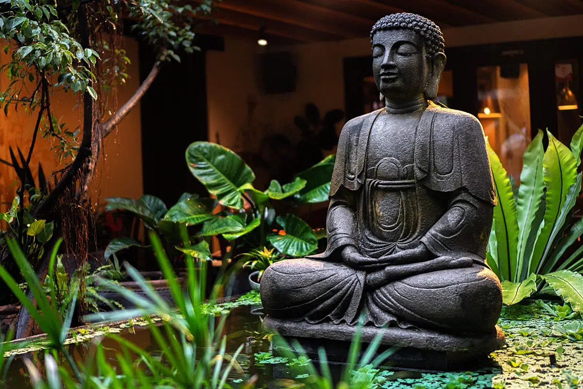 Garden café, a place where you can find your own peace.