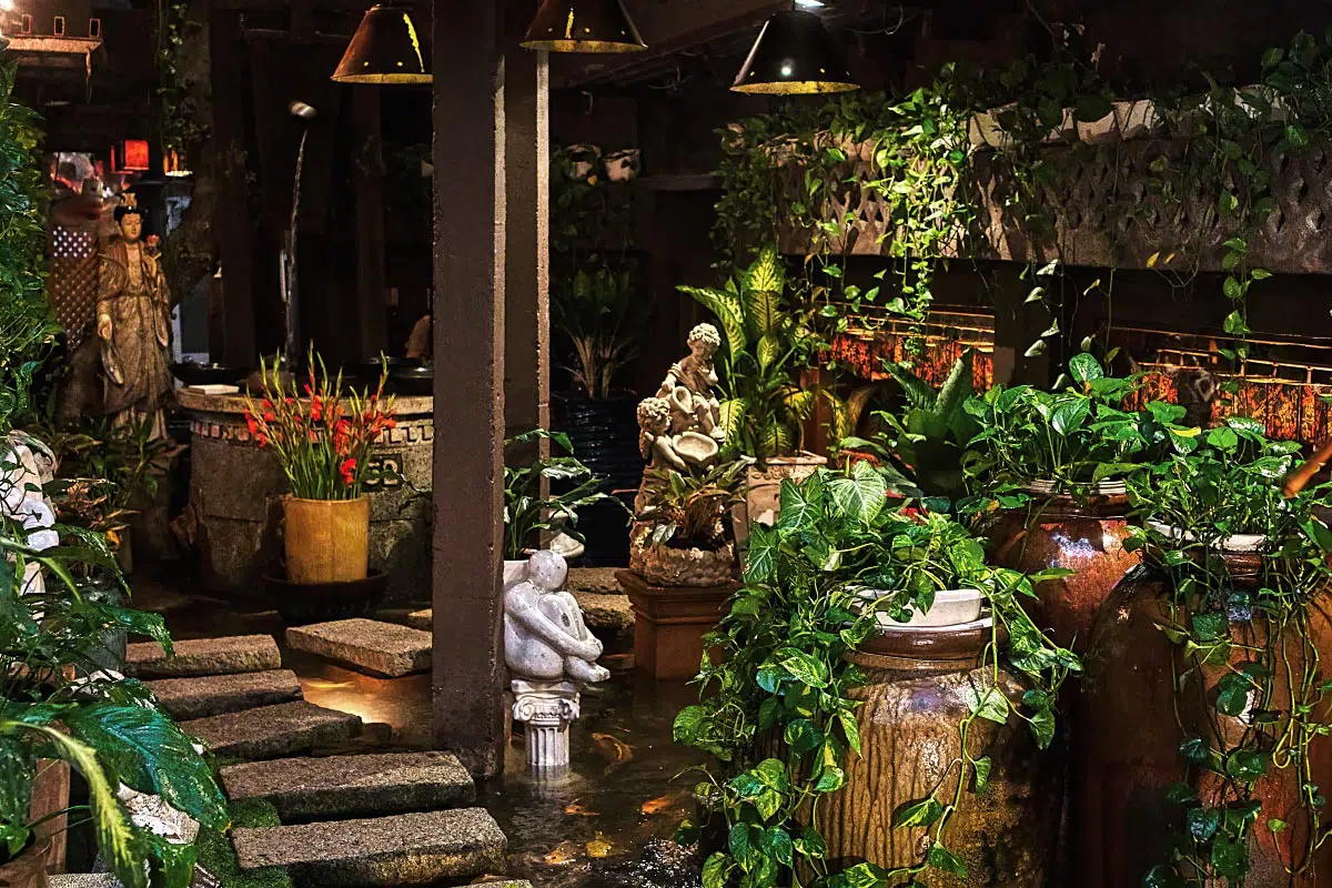 Garden Café is a café where the whole place is decorated as a garden or a greenhouse.