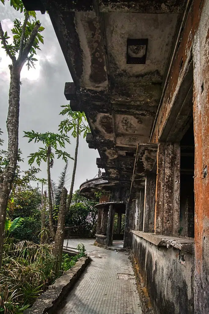 Nature will claim back territory. Life after Covid-19