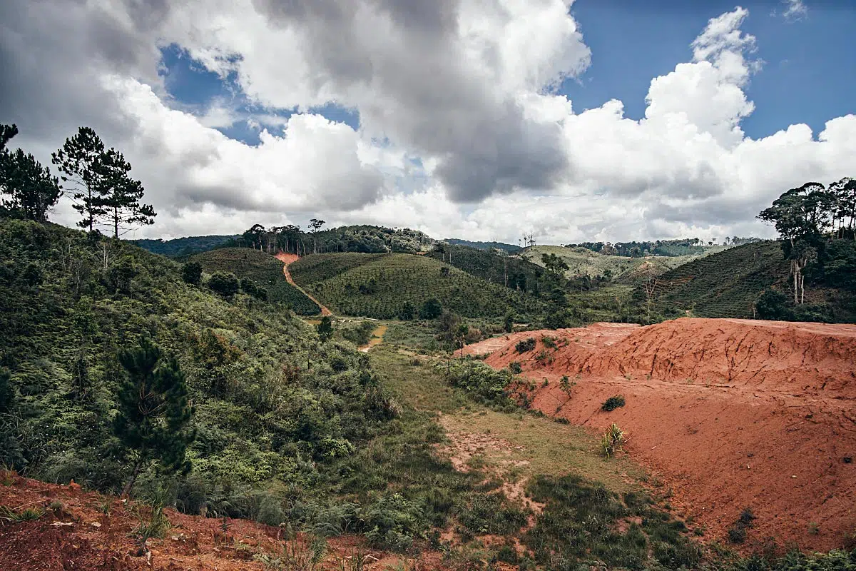 Deforestation is a trend here, followed by monocultures.