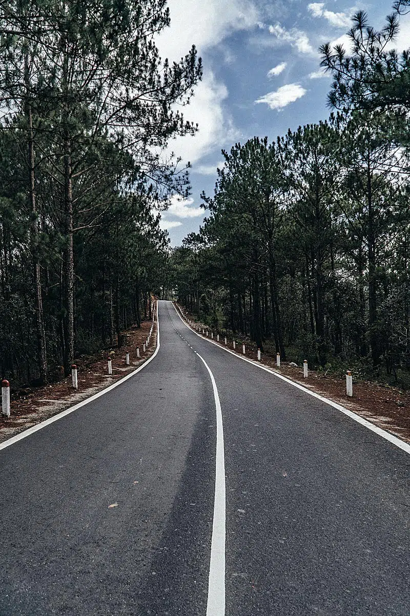 Da Lat should be endless wilderness. Sadly you are too late for that, but if you hurry you might still see some.