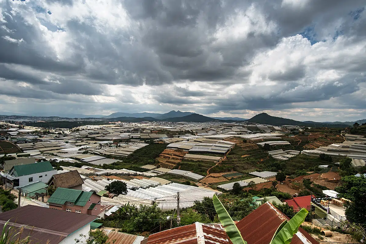 It is very painful to see hills wrapped in plastic! Da Lat, my friends.