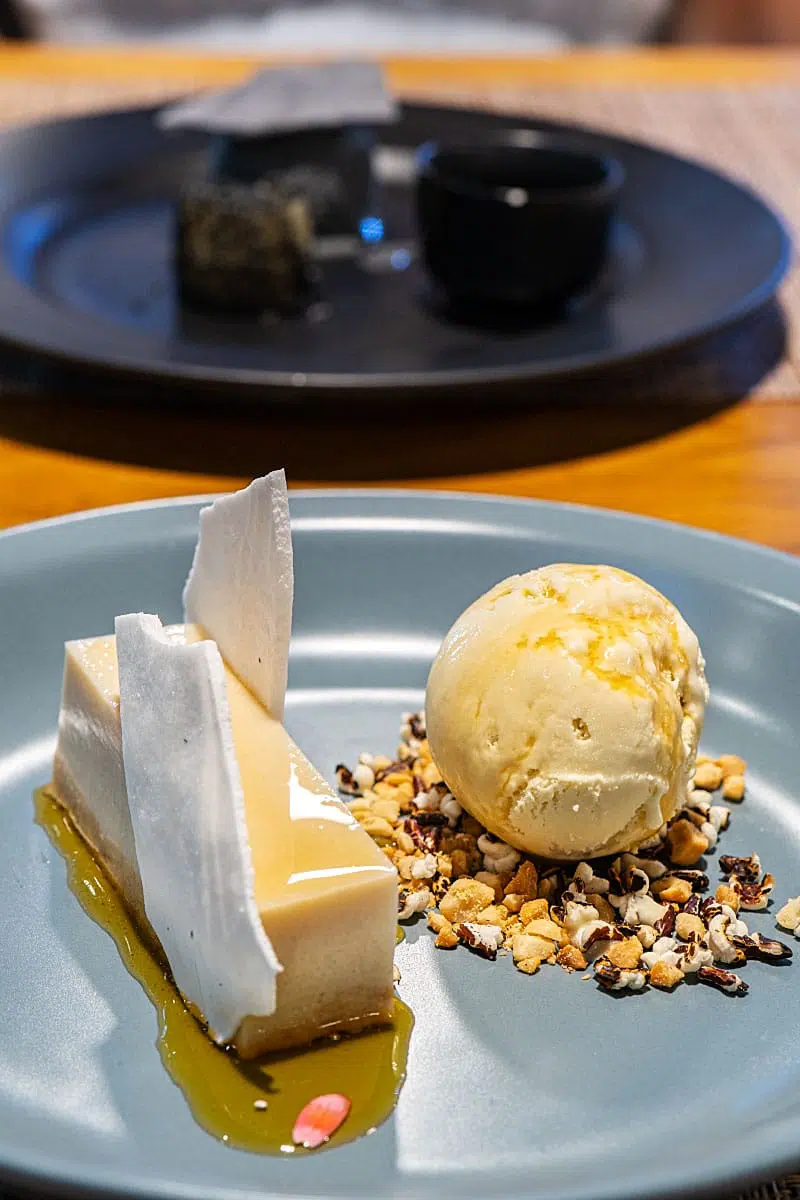 Intense ginger ice cream with silky smooth tofu pudding, drizzled with ginger syrup.