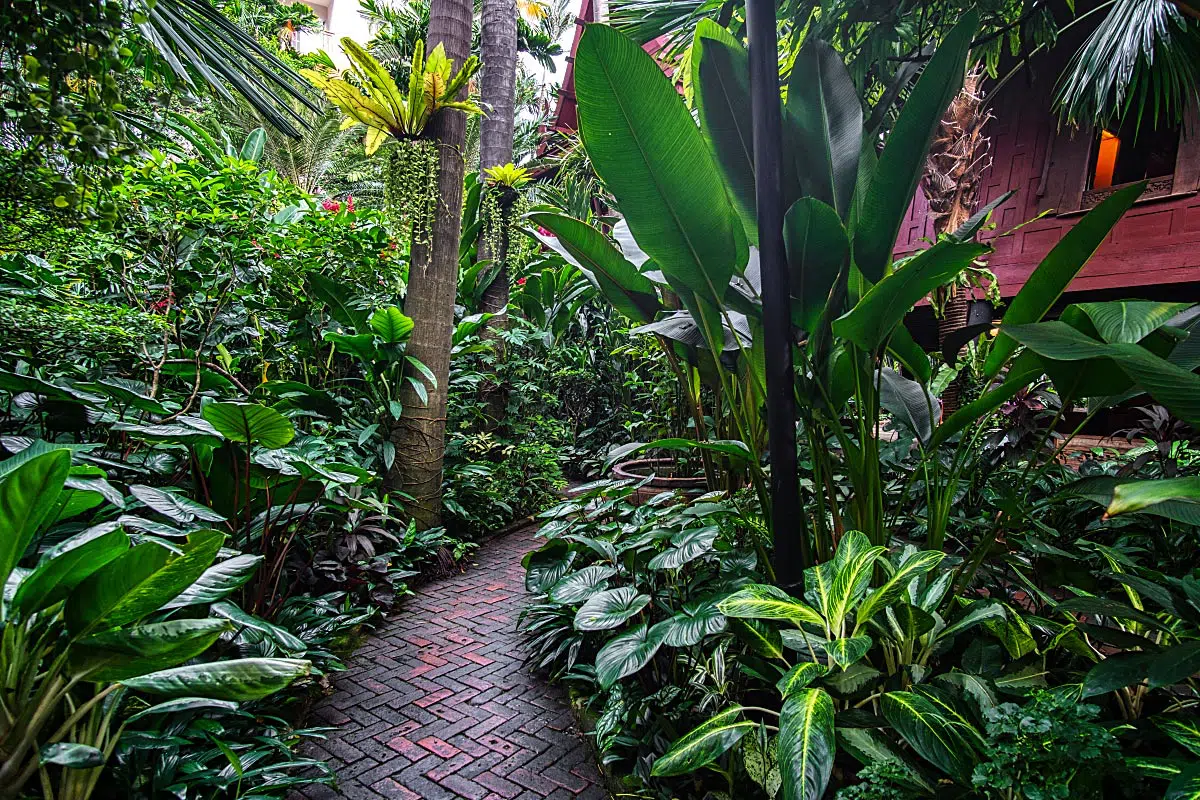 A lush garden around Jim Thompson House Museum