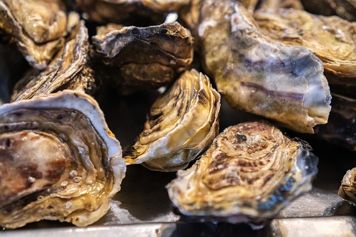 French delicacy can’t be pronounced without fresh oysters.