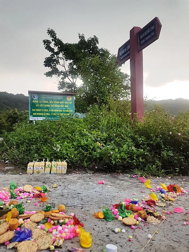 The sign reads: “Forest is gold, if we know how to conserve and manage it well, it will be very valuable.”