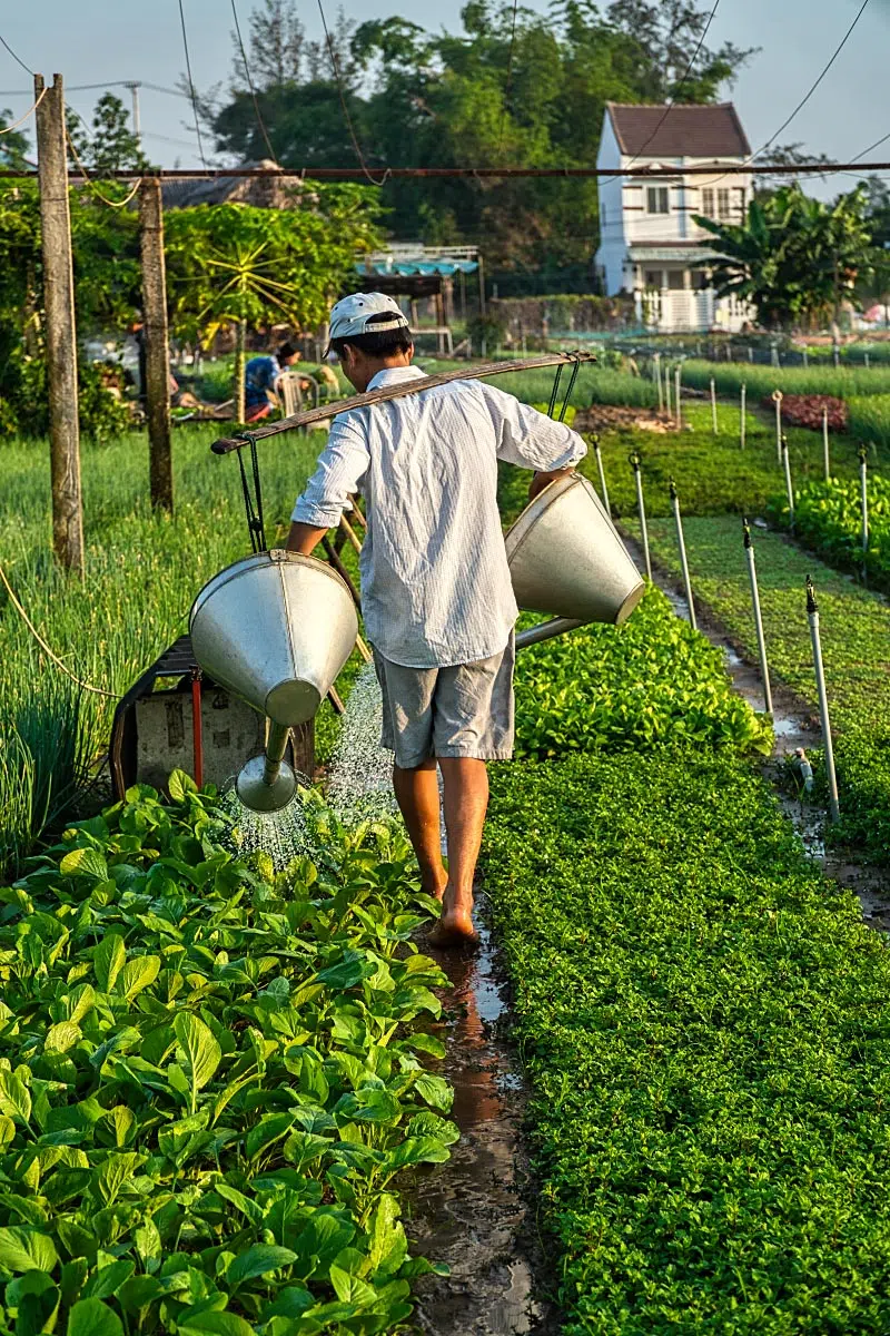 A combination of well water and fertile soil gives joy to caring gardeners and an unforgettable experience for all visitors.