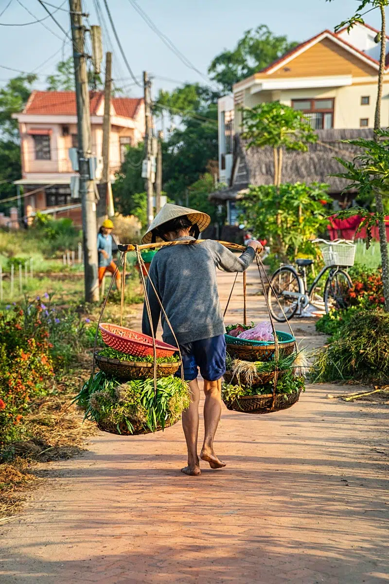 Every morning fresh produce is prepared for restaurants and markets around Hoi An