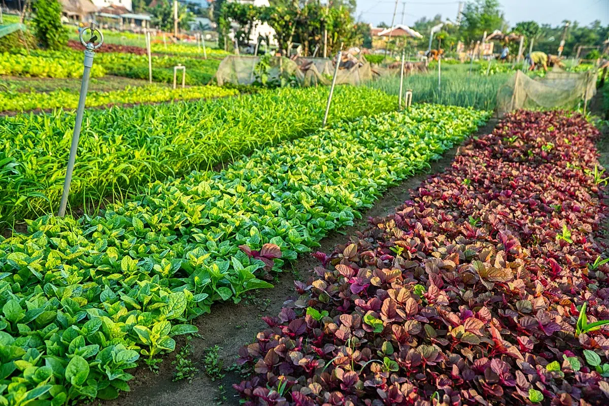 If this is not a fairytale garden, we don’t know what is. It is picture-perfect and organic, what else does one want?
