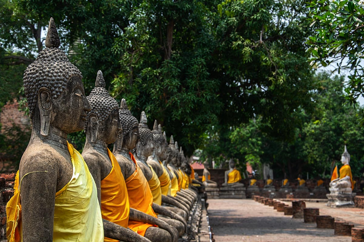 Leading lines anyone?