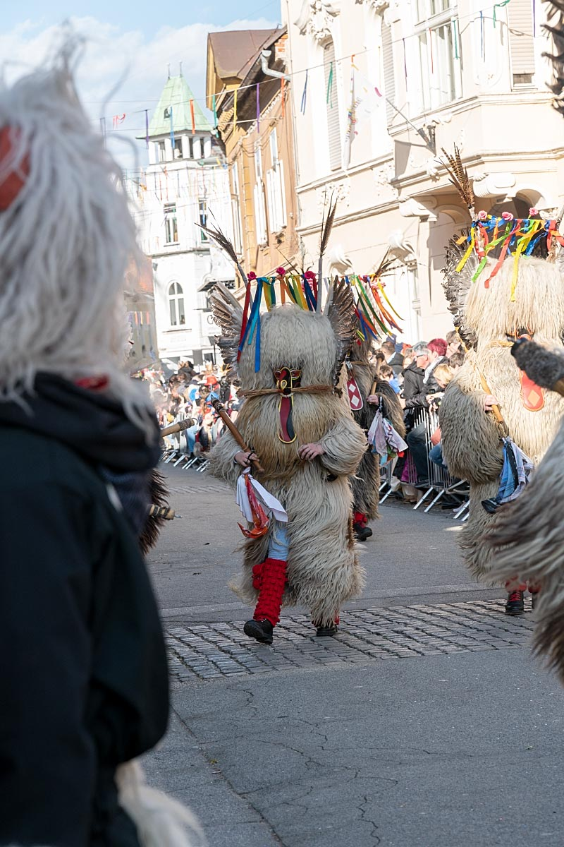 Kurents are almost running through the procession. And of course a lot of jumping so the bells sing.