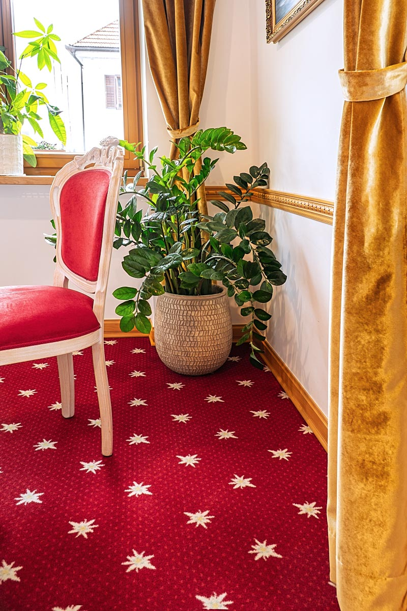 It is evident that the team at Restaurant Planinka treats plants with love and devoted care.