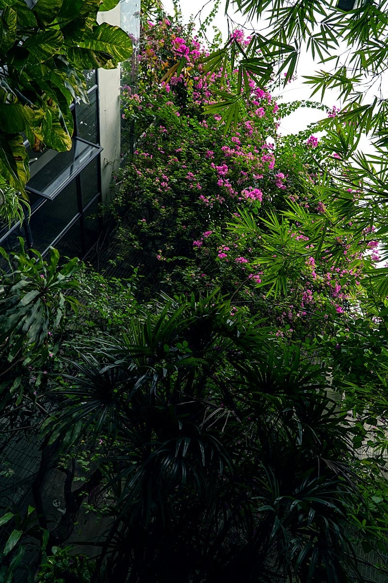 The garden is a great place to enjoy a drip.