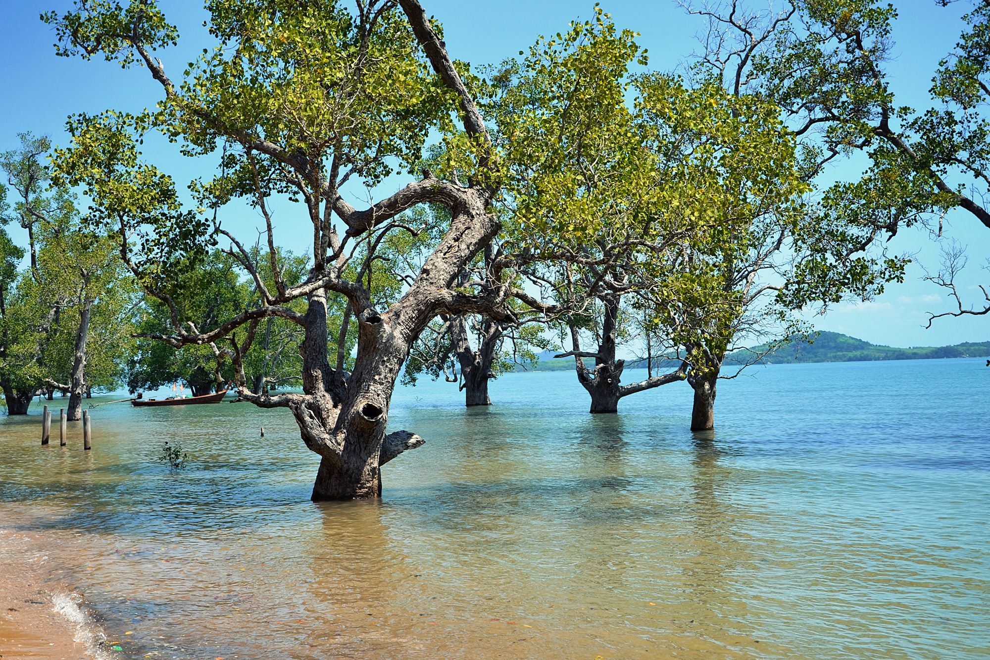 A Holiday in Koh Jum, Thailand