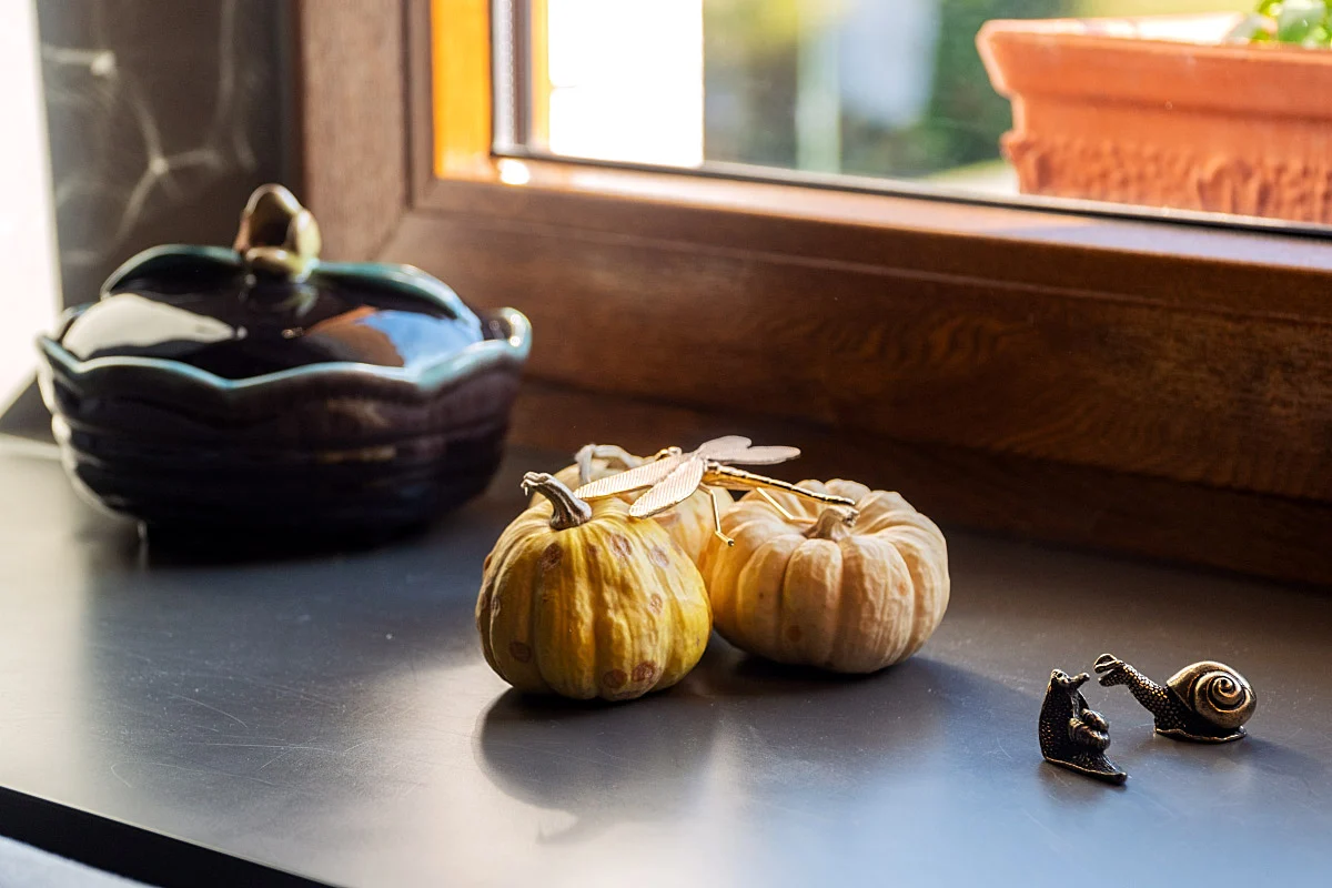 Why not grow even our decoration?