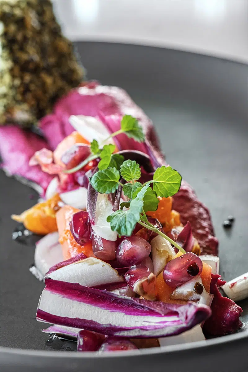 Goat cheese wrapped in pumpkin seeds and salad with fruits is a win.