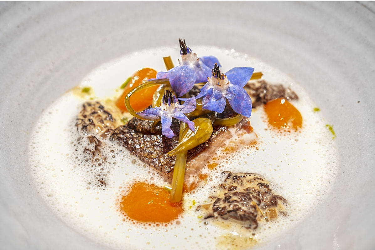 Rainbow trout with morels and vegetables at Hiša Linhart