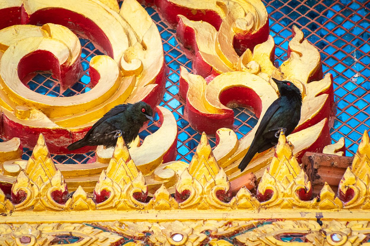 Asia - Weekly Round-Up #369