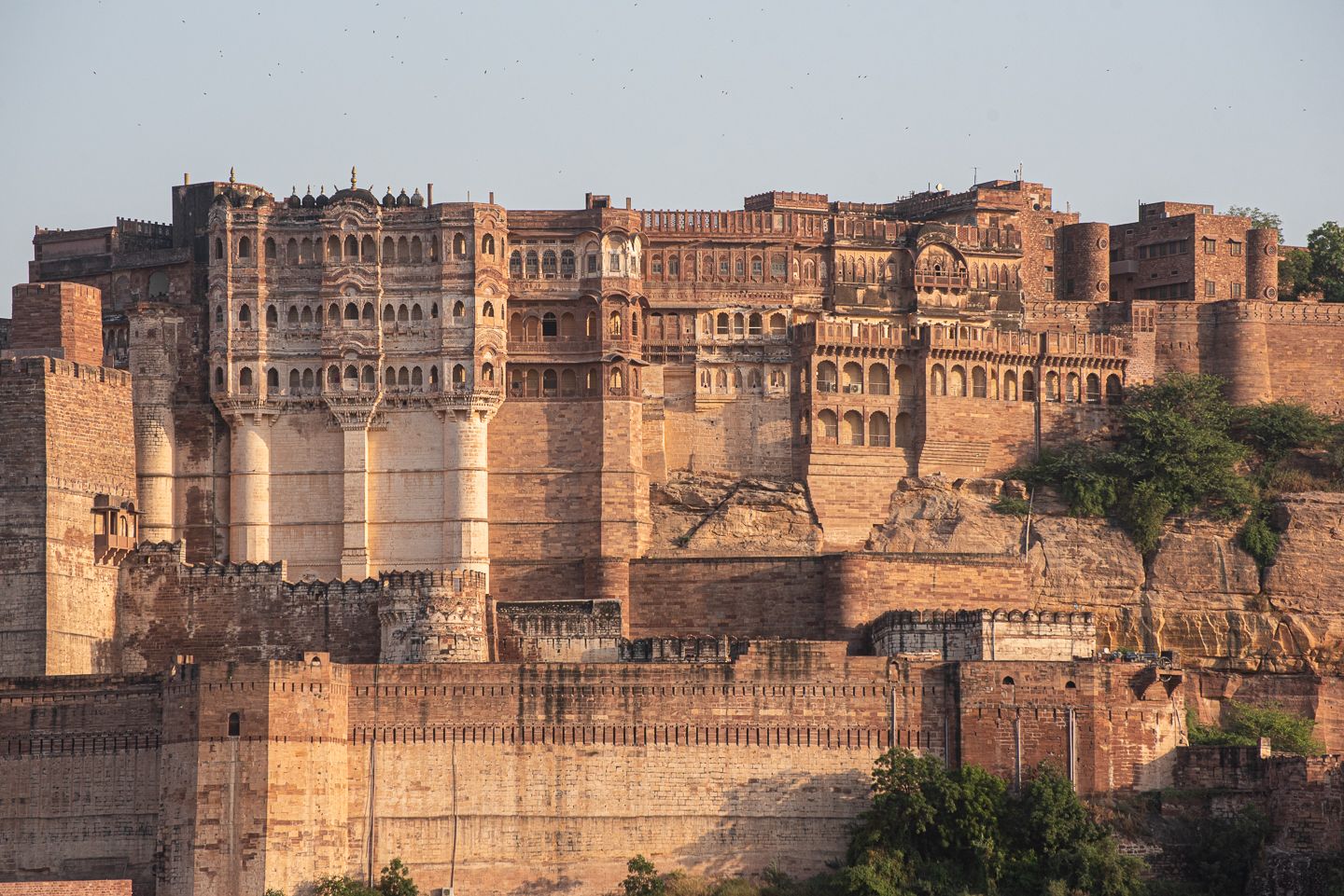 Mehrangarh Fort, Views from Rao Jodha Natural Park. Meeting Langurs and Bee-Eaters in Jodhpur 🇮🇳