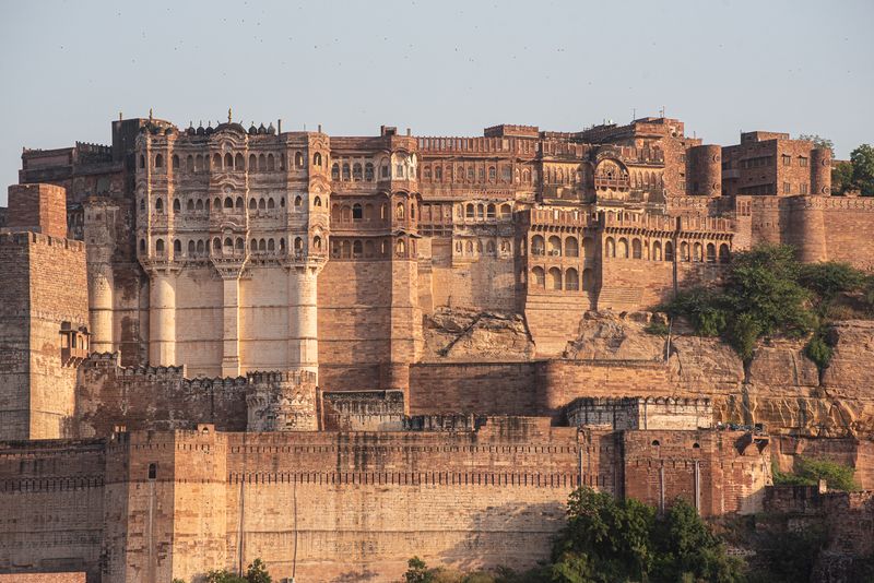Mehrangarh Fort, Views from Rao Jodha Natural Park. Meeting Langurs and Bee-Eaters in Jodhpur 🇮🇳