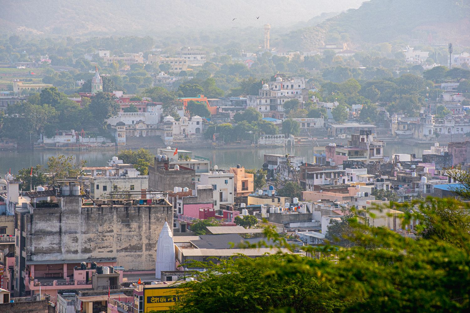 Parrots, Camels, Monkeys, Francolins. Hiking in Pushkar, India