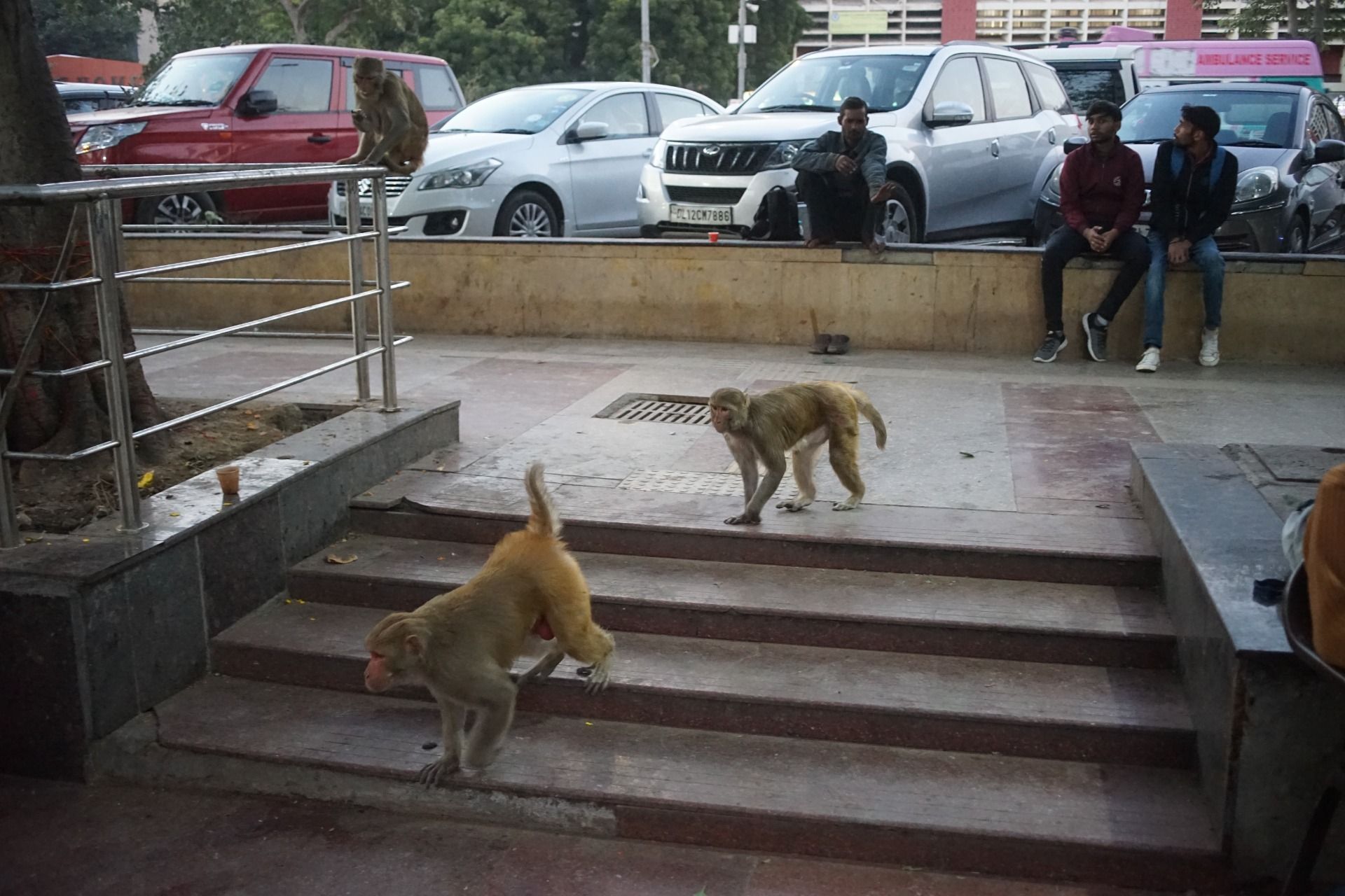 India - Masala Adventures 002