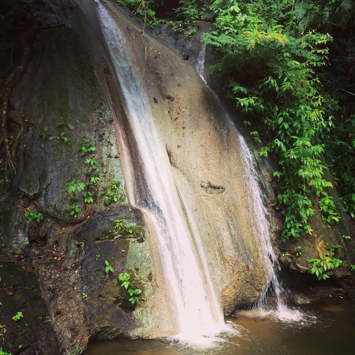 Caribbean islands interior all have plenty fresh waterfalls. Trinidad & Tobago