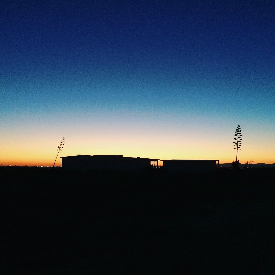 Culatra village at sunset