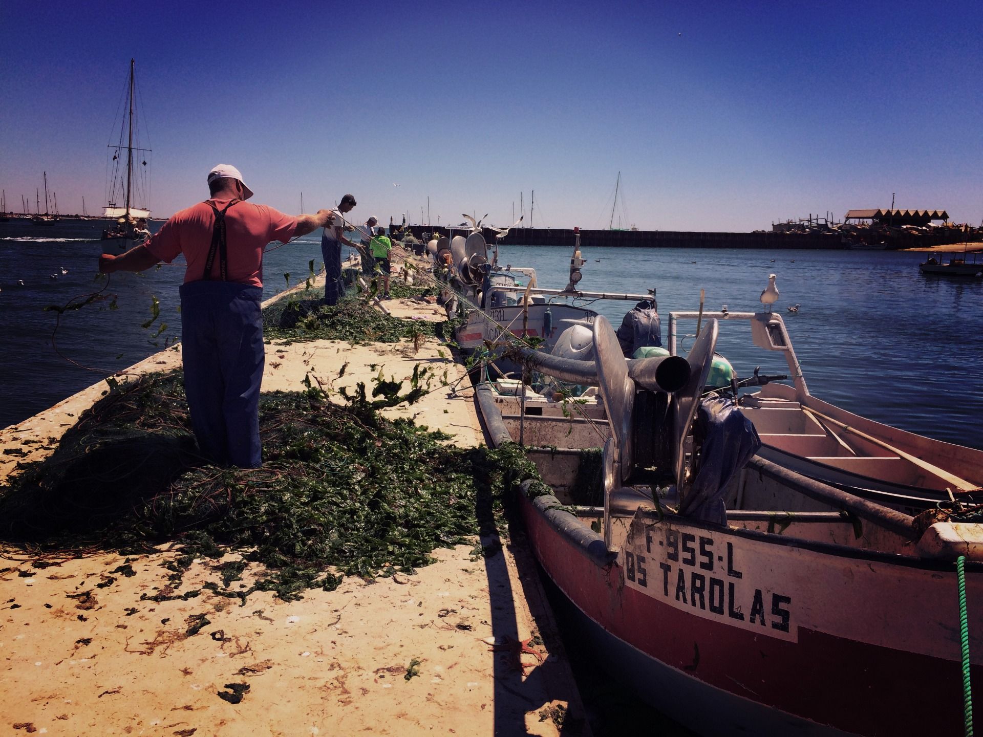 Culatra the charming fishermen village