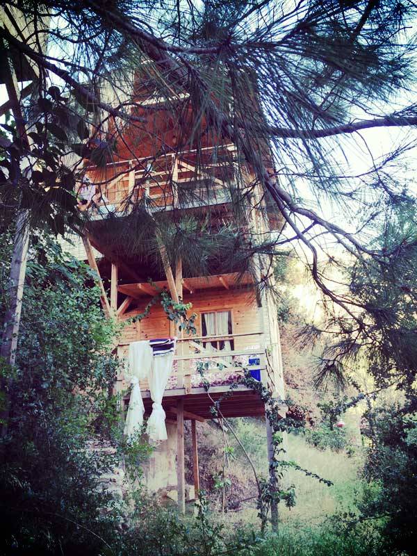 Tree house? Not really. Just another special guest house in Kabak Valley