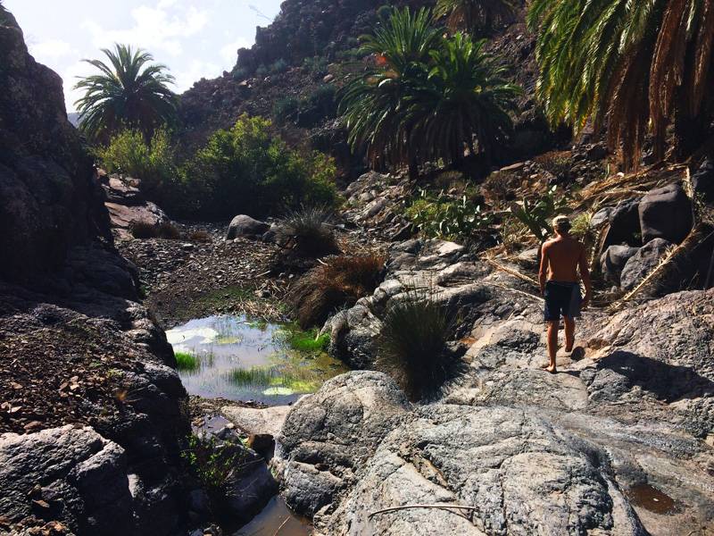 Hiking down the canyon along water pools and orchards. Valle Gran Rey, La Gomera