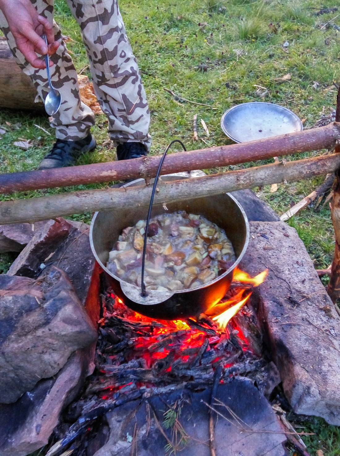 The mushrooms we picked up yesterday in the forest are stewed in a cauldron