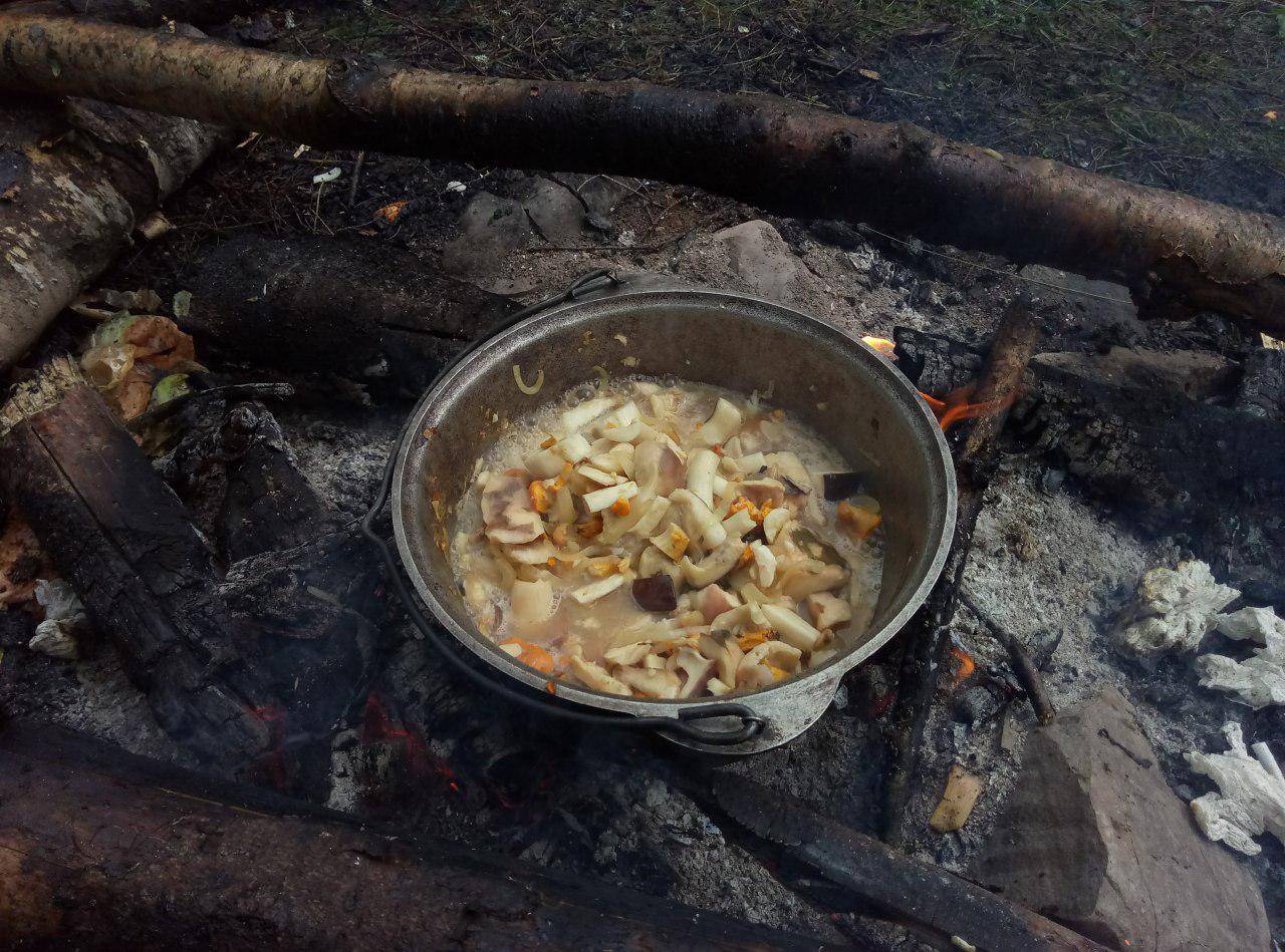 We prepare mushrooms in the cauldron on the fire