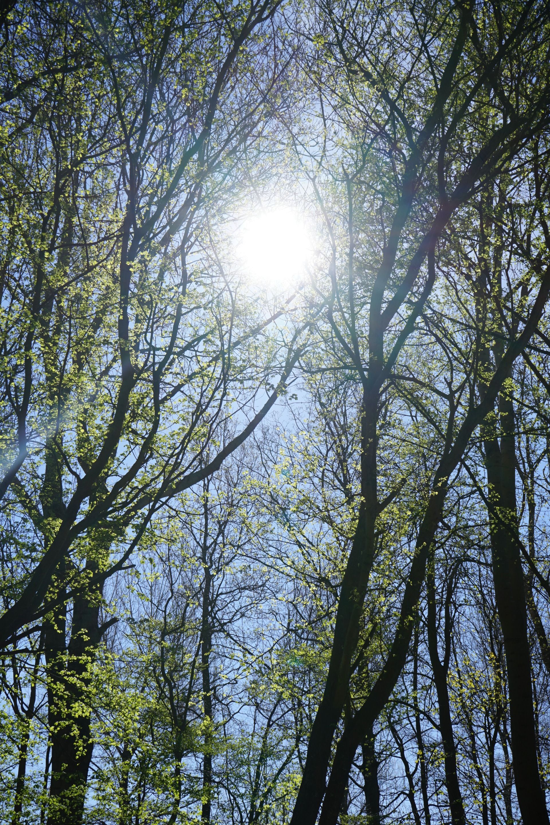 Happy to see the sun shine