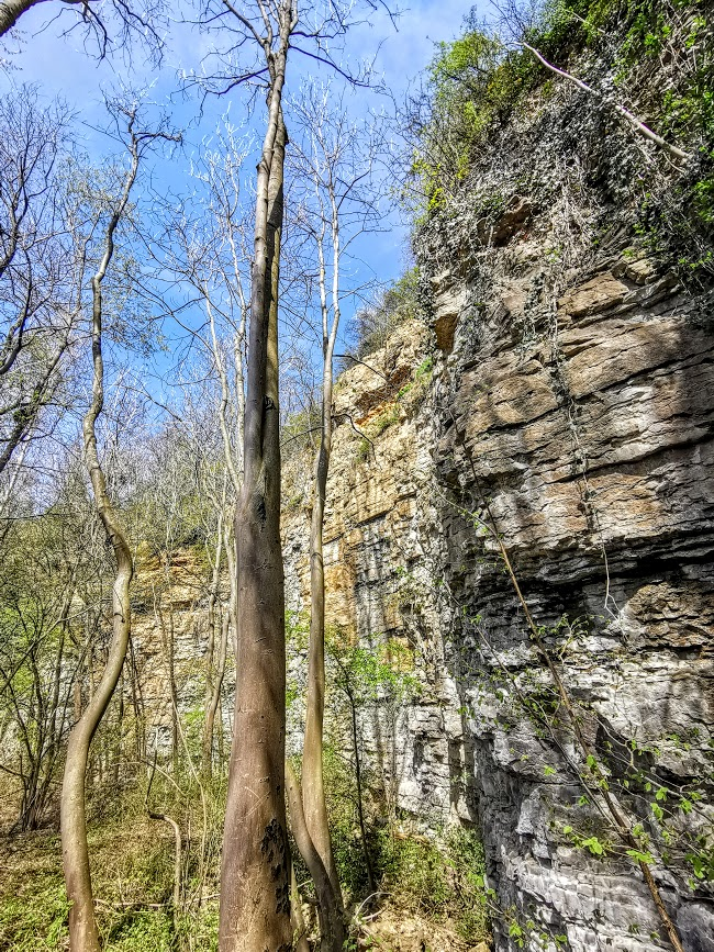limestone rocks