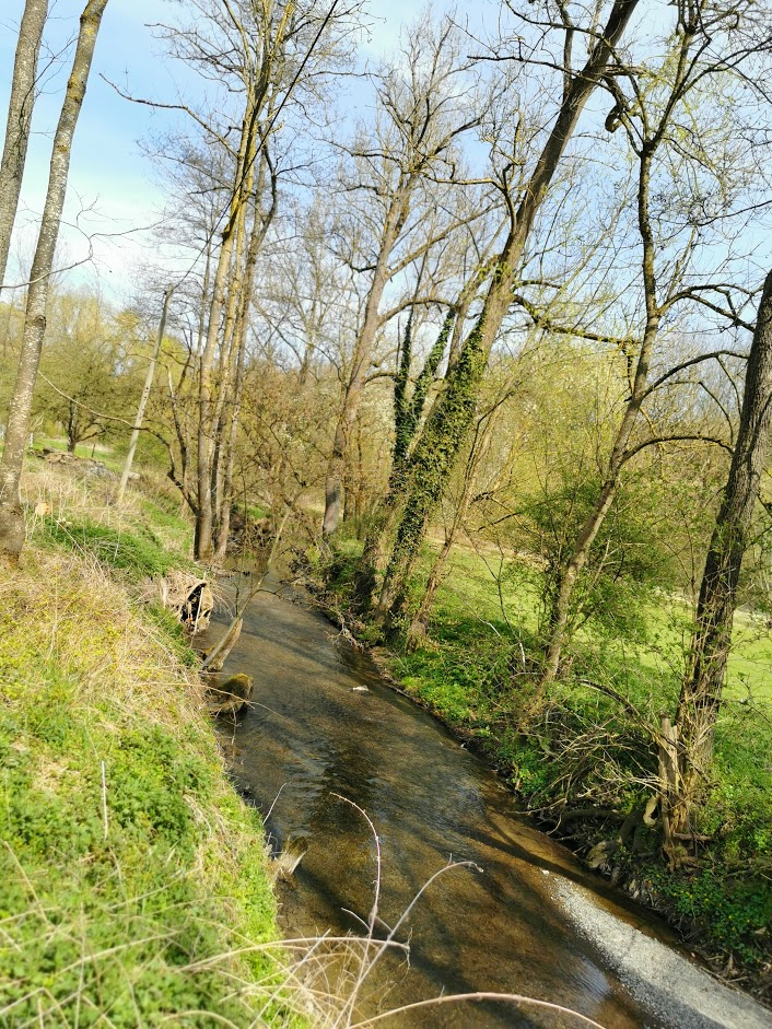 Amazing nature in the Glems valley.....