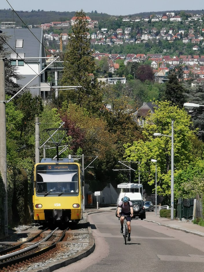 Stuttgarter Zacke