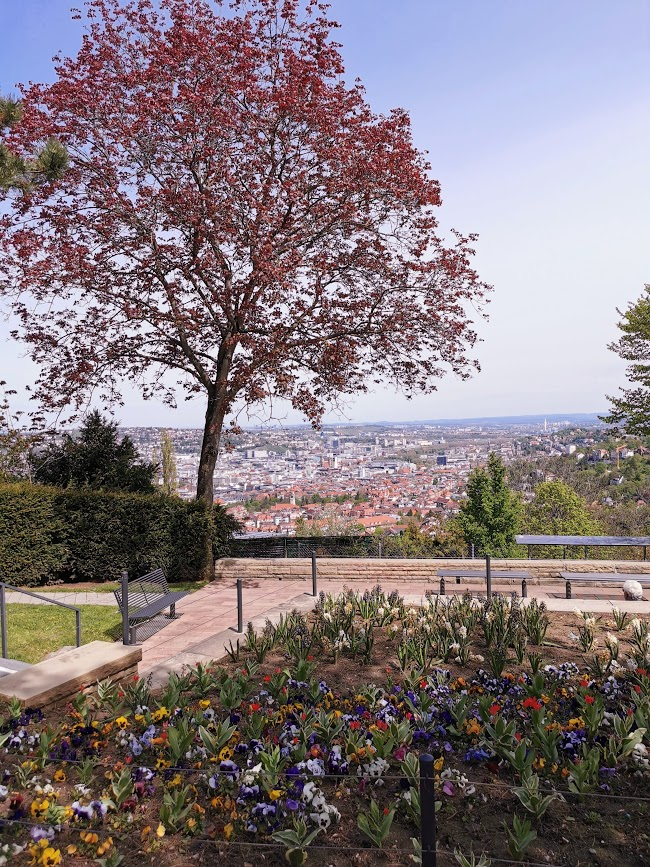 Santiago de Chile Square.....