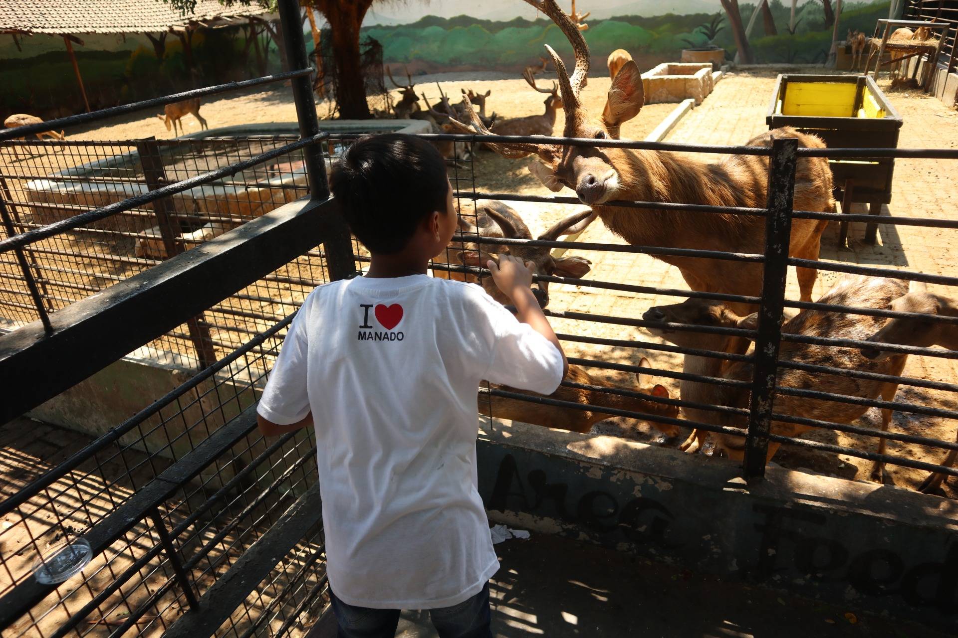 Exciting Adventure at Surabaya Zoo: Riding the Train to a Dream Destination
