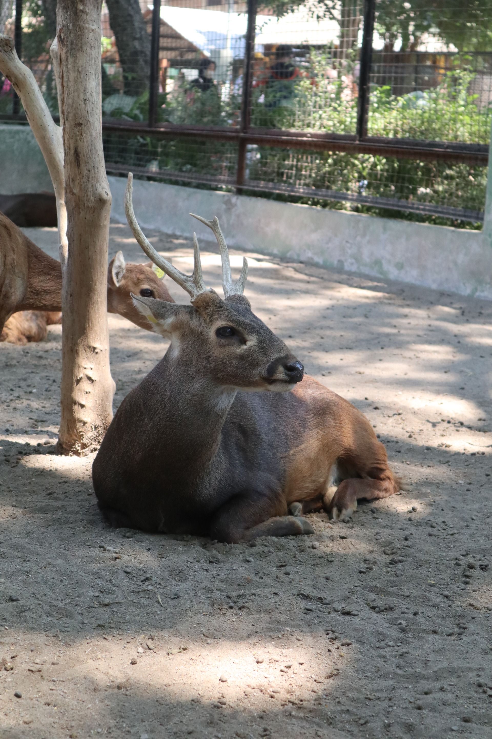 Food Of The World - Weekly Round-Up #318