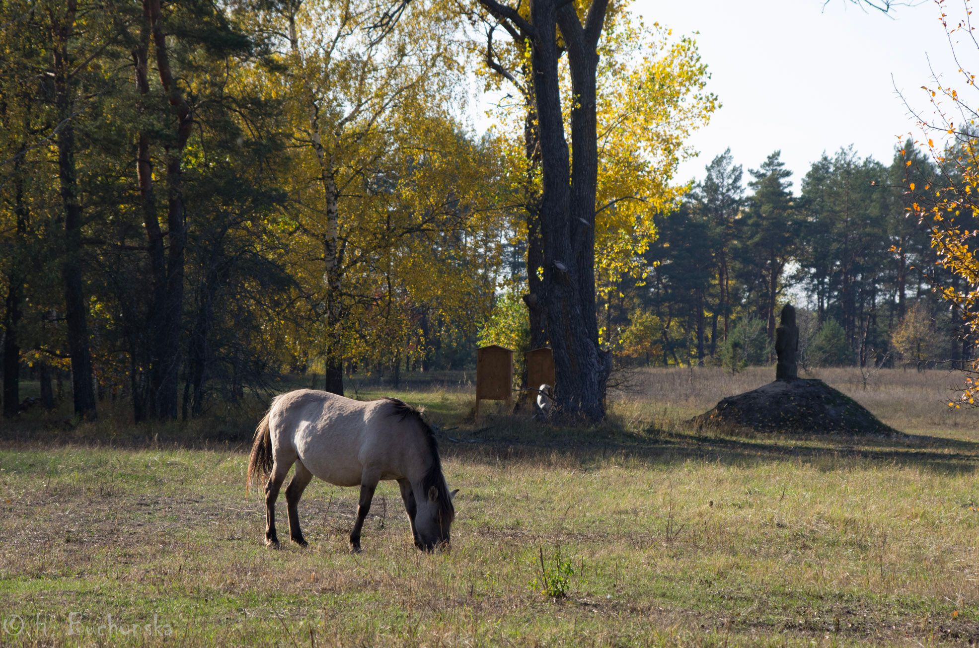 Discover Ukraine - Beremytske Nature Park
