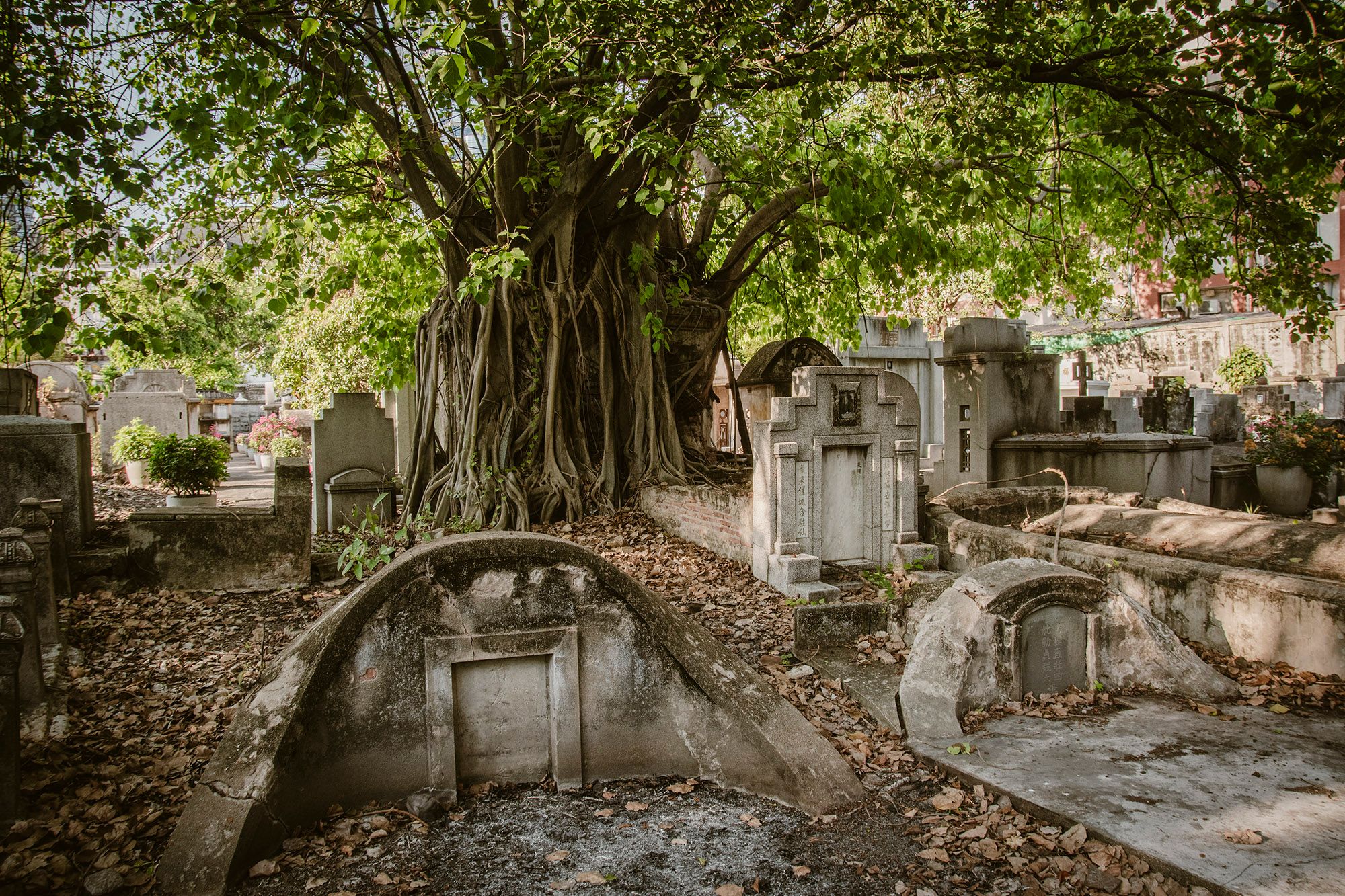 "Nie idź tam!" - chiński cmentarz w Bangkoku / "Don't go there!" - Chinese cemetery in Bangkok
