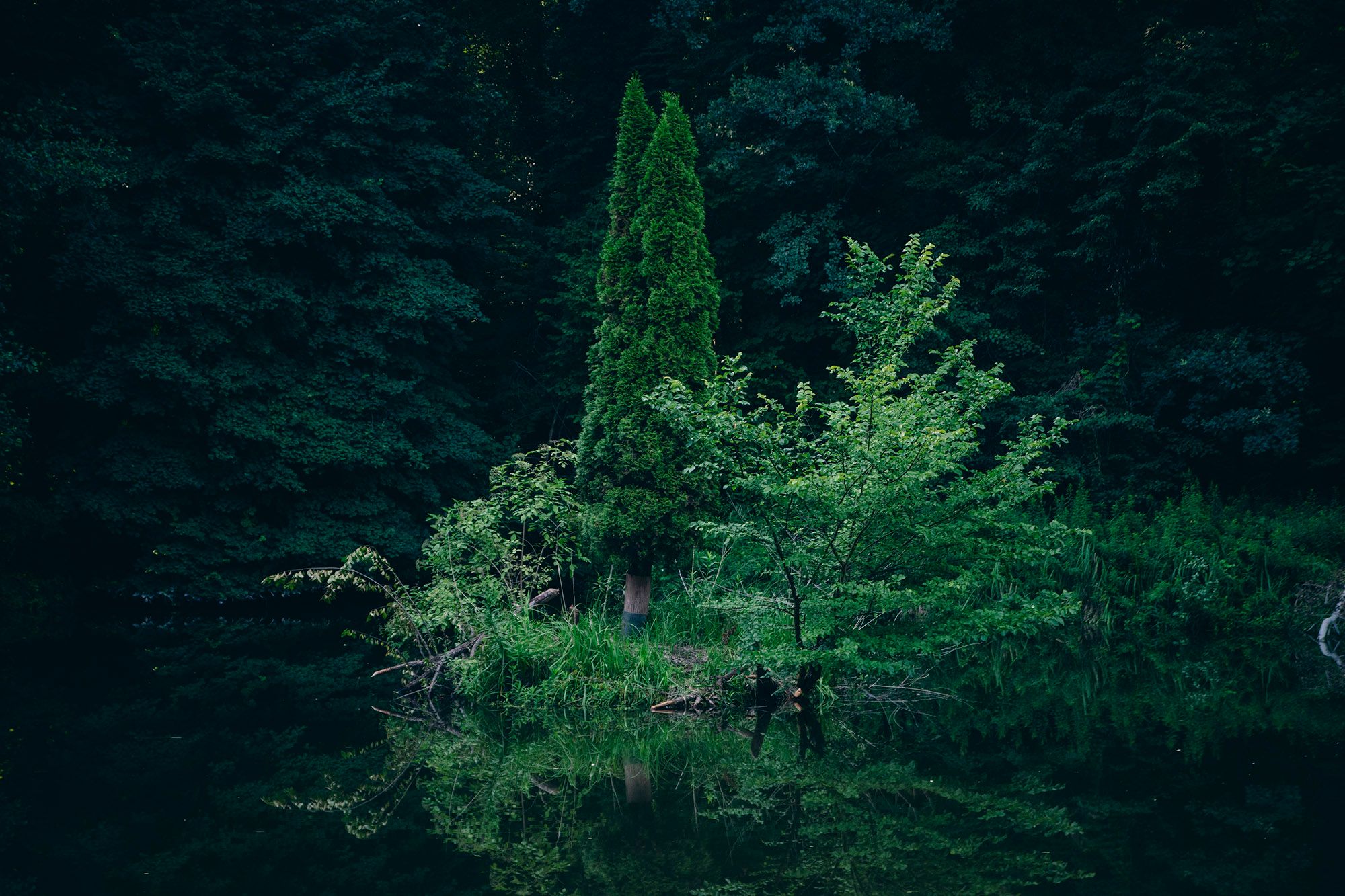 Tam nic nie ma - Śliwice (gm. Długołęka) / There is nothing there - Śliwice (commune of Długołęka)