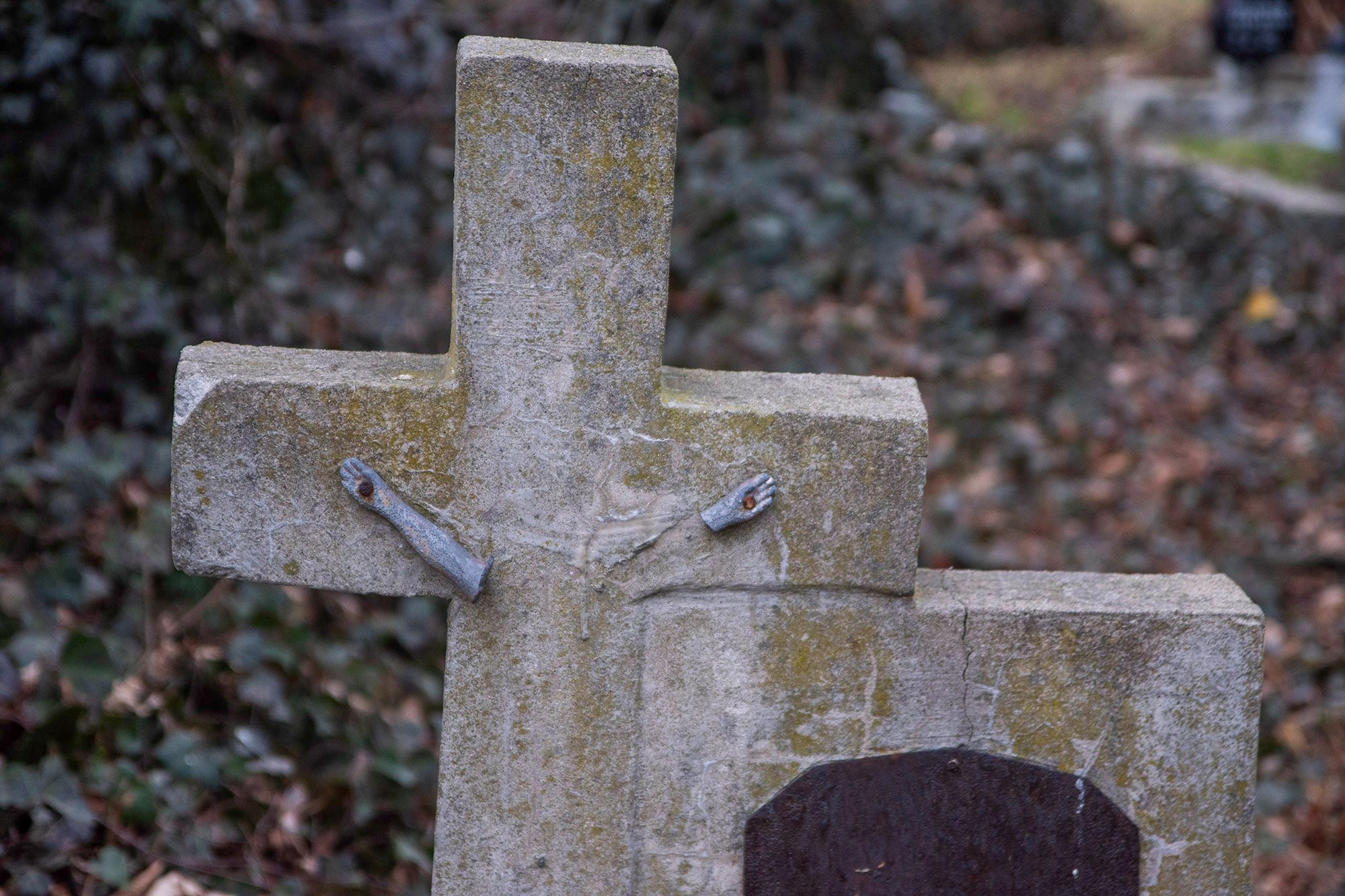 Stary cmentarz w Ząbkowicach Śląskich / Old cemetery in Ząbkowice Śląskie
